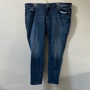 Silver Jeans Co. Suki Mid Rise Curvy Fit Skinny Leg Jeans Plus Size 22